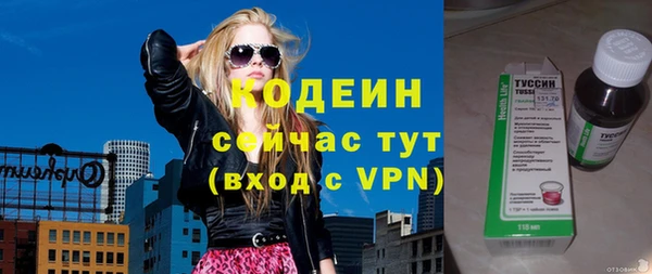 шишки Белоозёрский