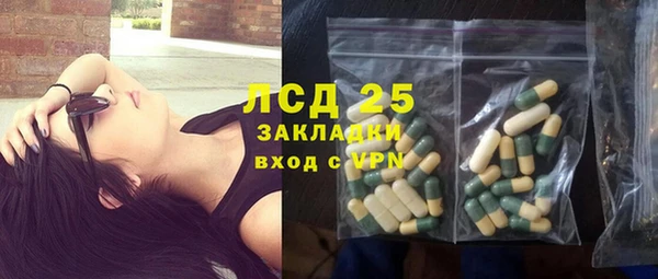 шишки Белоозёрский