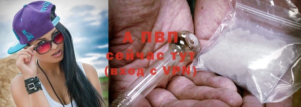 шишки Белоозёрский
