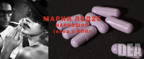 шишки Белоозёрский