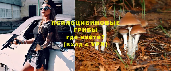 шишки Белоозёрский
