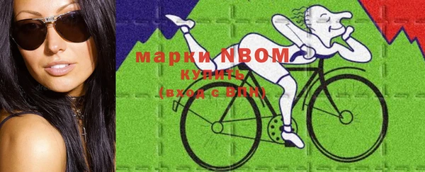 шишки Белоозёрский