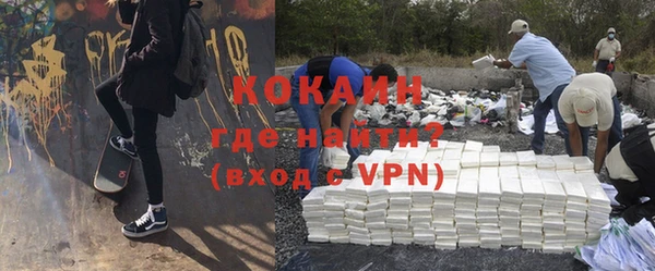 шишки Белоозёрский