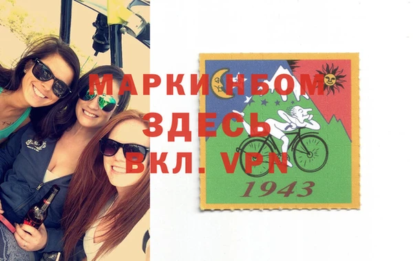 шишки Белоозёрский