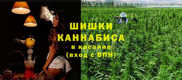 шишки Белоозёрский
