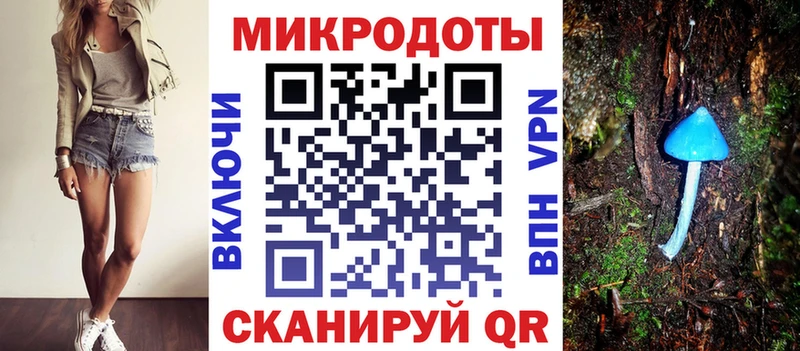 Купить  Эртиль  Псилоцибиновые грибы Psilocybe 